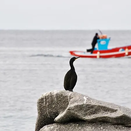 Casa Anna Apartman Mykonos Town