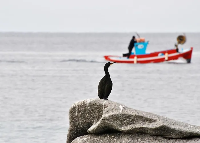 Casa Anna Appartement Mykonos Town